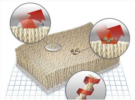 Illustration of carpet with Scotchgard carpet protection. Water is repelled from the surface, and dirt is not absorbed into the fibers. 